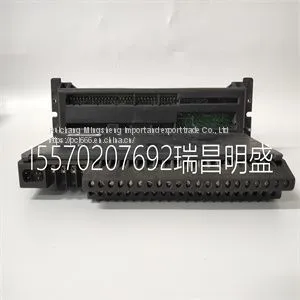 Module Spare Parts IC660TBD024K thumbnail-1
