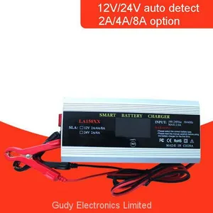 Battery Electric Vehicle Charger Golf Cart Charger 12V 24V 2A 4A 8A Lead Acid Battery Charger Multi-output thumbnail-1