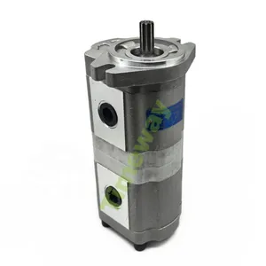 TIMEWAY CBK Series Hydraulic Double Gear Pump P221515DCG High Pressure Gear Oil Pump Customizable thumbnail-1