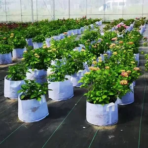 OEM Fabric Grow Bags With Custom Size and Logo thumbnail-1