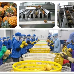 Industrial Fruit Filtering Food Industry Fruit & Vegetable Processing Line thumbnail-5
