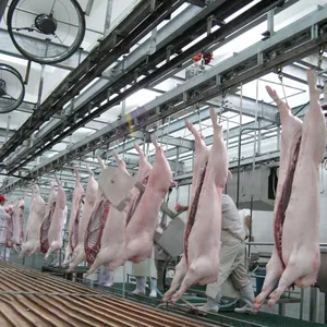 Complete Automatic Pig Slaughtering Line Hog Abattoir Processing Plant Turnkey Project With 3D Design Meat Processing Machinery thumbnail-1