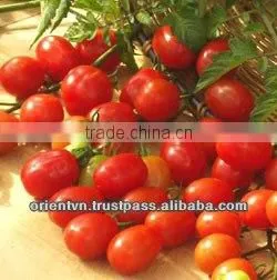 BEST PICKLED CHERRY TOMATOES thumbnail-1