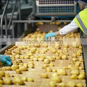 Multinational New Automatic Compound Potato Chips Processing Line thumbnail-2