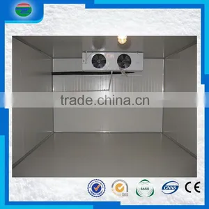 Bottom Price Professional Cheap Cold Room/cold Storage for Fruit and Vegetable Quality Choice thumbnail-4