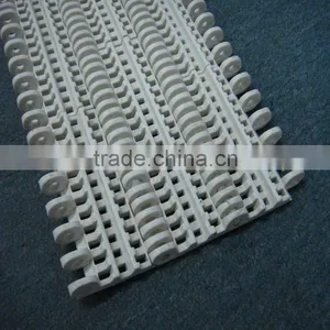 Engineering Standard Plastic Pa6 Conveyor Belt Pom Conveyor Chain thumbnail-3