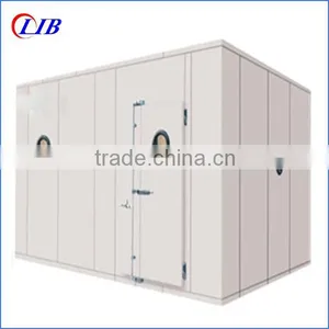 Walk In Freezer Manufacturer thumbnail-5