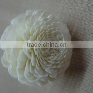 Sola Flower thumbnail-4