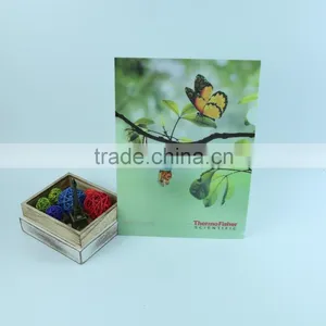 Hot Sales Clear pp Plastic Business a4 File Holder L Shape File Folder PP Expanding Files thumbnail-2