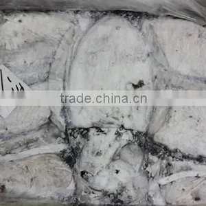 Frozen Cuttle Fish thumbnail-3