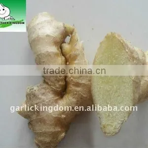 Air-dried Old Ginger thumbnail-1