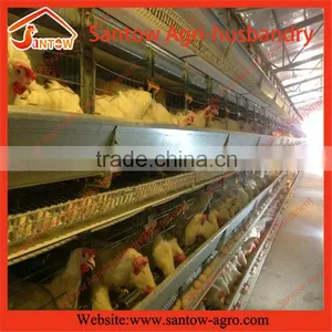 Supply Modern Poultry Heater Equipment/iran Poultry Poultry Equipment. thumbnail-1