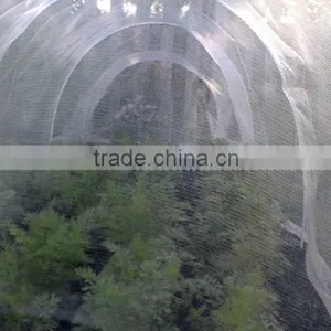 Supply uv Treated Transparent HDPE Anti Insect Net, Aphid Control Insect Screen thumbnail-3