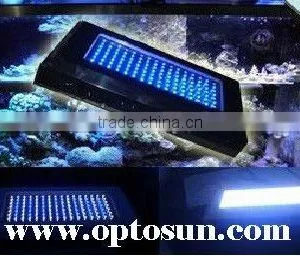 Cree Led Aquarium Lighting 120w From Optosun thumbnail-1