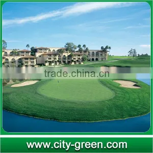 Artificial Sports Turf for Golf Field and Leisure thumbnail-1