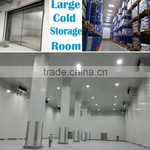 Cold Storage Room With Storage Racks Inside thumbnail-1