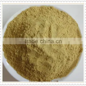 Ginger Powder Benefits of Ginger Powder Healthy Products thumbnail-1
