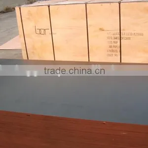 Outdoor Waterproof Plywood for Construction thumbnail-6