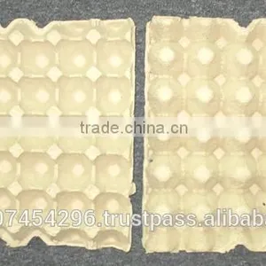 30-EGG TRAY thumbnail-1