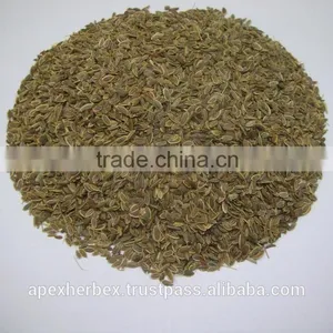 Spice-Dill Seeds /Anthem Graveolens / Suwa thumbnail-4