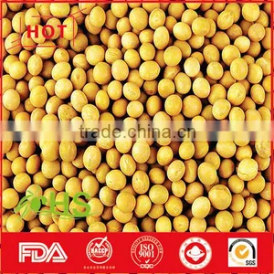 Chinese Dried Cheap Soybeans for Wholesale thumbnail-2