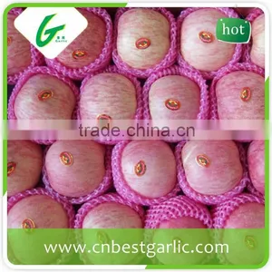 Fresh Fuji Apple With Good Quality thumbnail-4