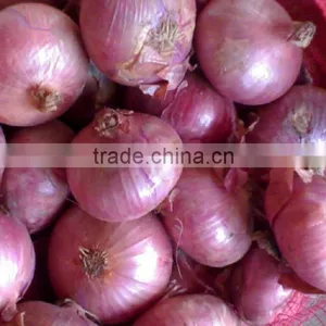 Lowest Price Fresh Red Onion,fresh Red Big Onion thumbnail-1