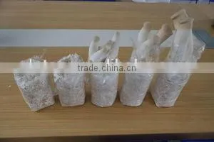 Whole Part and Cultivation Processing Type Oyster Mushroom Grow Bag thumbnail-3