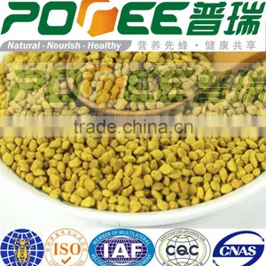 Bee Pollen for Healthcare thumbnail-3
