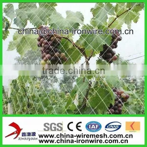 HDPE Anti Insect Bird Net thumbnail-1