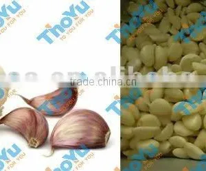 2016 Best Quality Garlic Peeler Machine/stainless Steel Garlic Peeling Machine Made by 304stainless Steel thumbnail-5