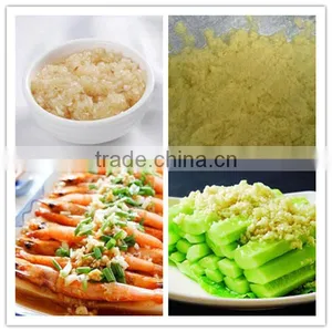 High Output Garlic Paste Grinding Machine thumbnail-2