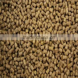 China Manuafacturer Peat German Pellet Press Machine thumbnail-5