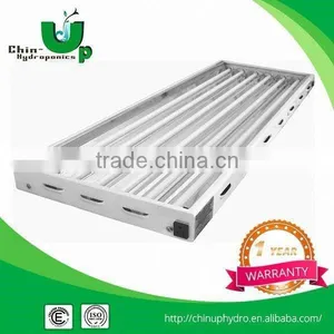 t5 Fluorescents Lighting Fixture/t5 Yellow Color Fluorescent Lamp Tube/fluorescent Light t5 thumbnail-3