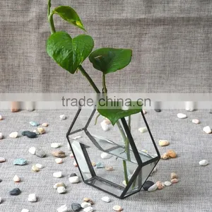 New Design Home Decor Hanging Terrarium Hydroponic Glass Containers thumbnail-1
