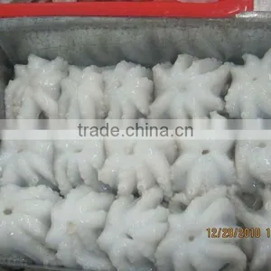 Baby Octopus Whole thumbnail-2