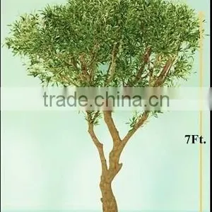 Artificial Japanese Fruticosa Tree Foliage Plant for Decorated thumbnail-1