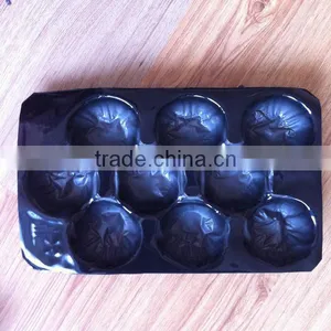 Laizhou High Quality PP 29*39CM Plastic Fruit Liner Tray thumbnail-5