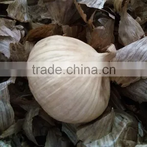Top Quality Food Grade Black Garlic thumbnail-2