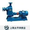 Self-priming Non-clogging Sewage Pump thumbnail-1