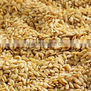 Flax Seed thumbnail-1