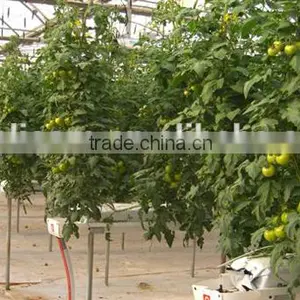 PVC Soilless Growing Troughing System thumbnail-4