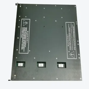 TRICONEX TRICON PLC 9791-610 The Analog Input Item Panel thumbnail-3