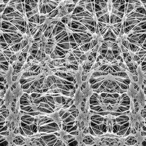 Expanded PTFE Membrane thumbnail-1
