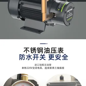 Weipeng Central Air Conditioning Electric Fuel Pump R4R6 Refrigerated Oil Fuel Pump Refrigeration Electric Fuel Pump thumbnail-5