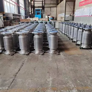 Special Material Compensator Made in China Best Quality thumbnail-4
