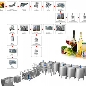 Genyond Automatic Grapes Fruit Wine Production Line Turkey Project thumbnail-4