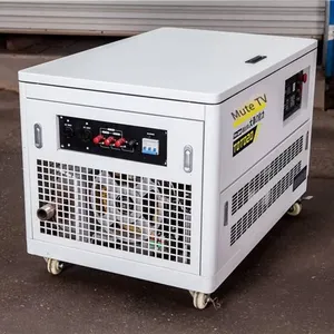 Silent 15kw and 30kw Gasoline Generators With Automatic Start and Stop for Villa Emergencies thumbnail-2