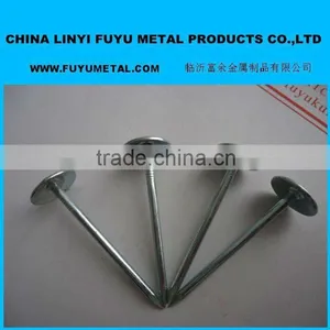 Roofing Wire Screw Nail Company for Decorate thumbnail-1
