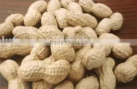 Peanut In Shell thumbnail-1